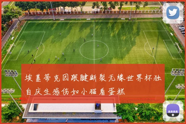埃基蒂克因跟腱断裂无缘世界杯独自庆生感伤如小猫看蛋糕