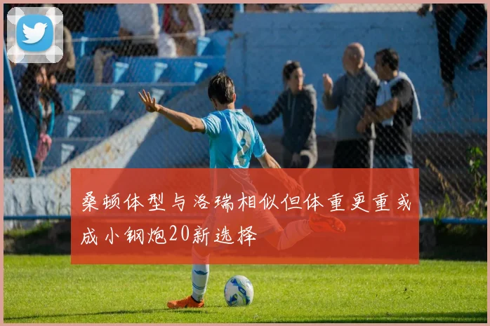 桑顿体型与洛瑞相似但体重更重或成小钢炮20新选择