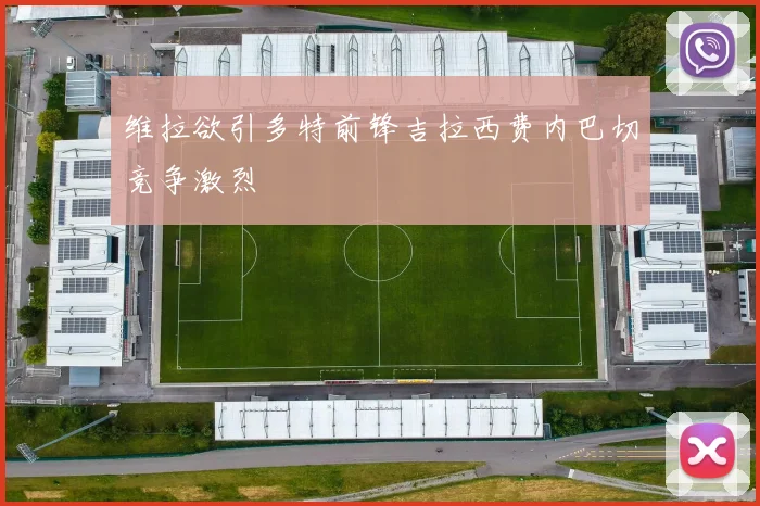 维拉欲引多特前锋吉拉西费内巴切竞争激烈