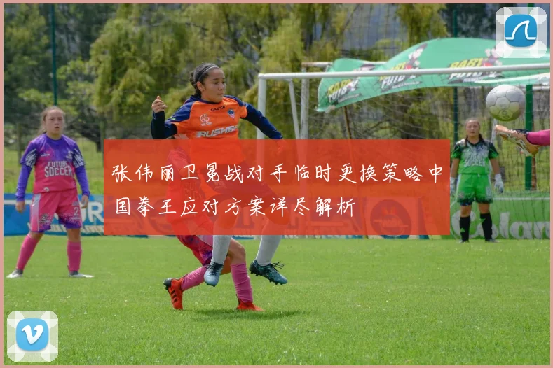 张伟丽卫冕战对手临时更换策略中国拳王应对方案详尽解析
